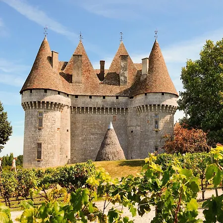 Modern In Aquitaine Дом отдыха Сен-Нексан