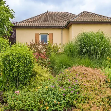 Modern In Aquitaine Дом отдыха Сен-Нексан