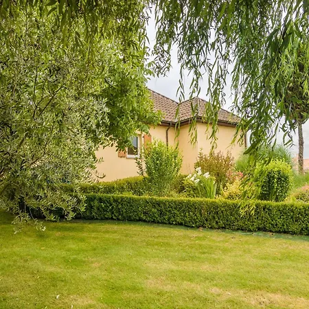 Modern In Aquitaine *